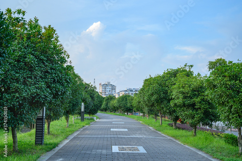road in the park