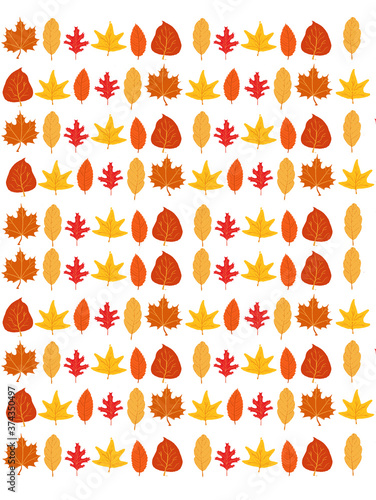 leaf  pattern  isolated on white background