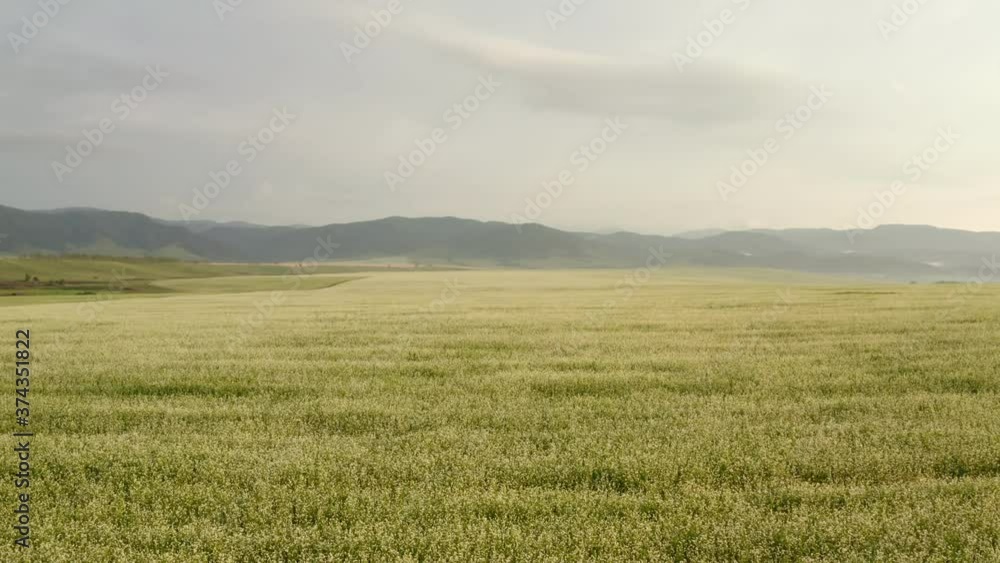 Scenic aerial panoramic view of idyllic rolling hills spring landscape in with lush green mountain pastures in evening light at sunset Scenic aerial panoramic view of idyllic rolling hills spring landscape in with lush green mountain pastures in evening light at sunset