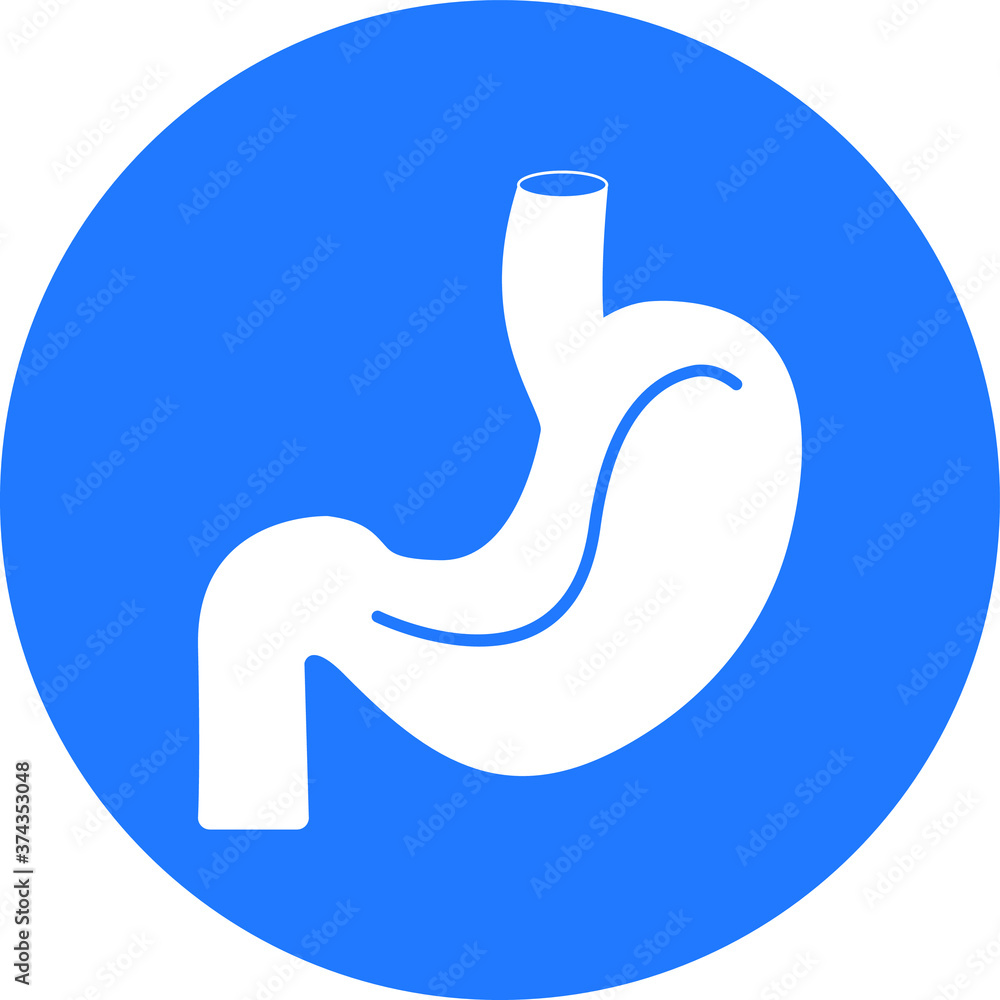 Stomach Icon vector