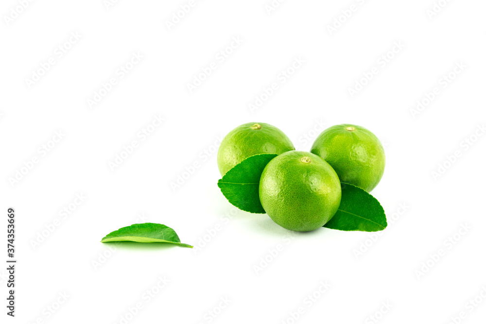 fresh lime. Green leaf lime isolated on white background. fresh lime. Green leaf lime isolated on white background.