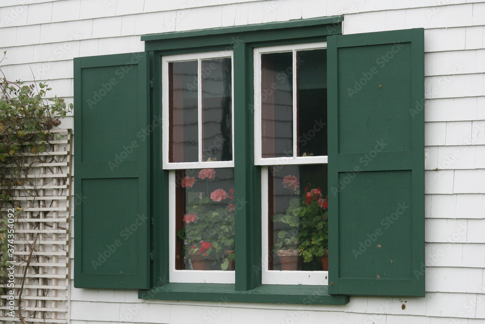 Fototapeta premium green window with shutters