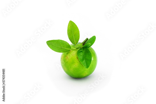Wallpaper Mural fresh lime. Green leaf lime isolated on white background. Torontodigital.ca