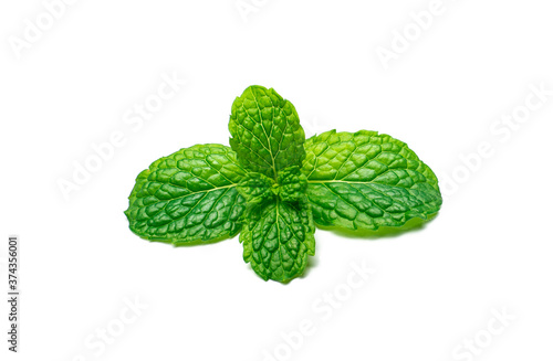 Beautiful mint leaves stack isolated on white background