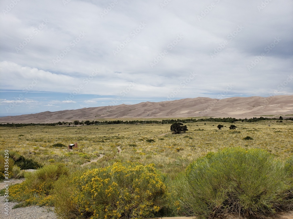 Obraz premium Nature Photos