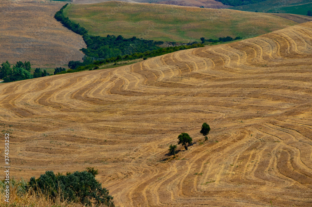 Obraz premium Piękny widok na wzgórza Toskanii