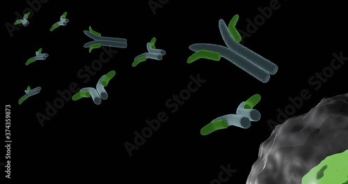 Antibodies produced by plasma cell in 3d illustration