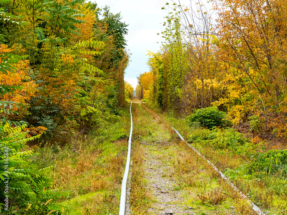Railway and the autumn. Old overgrown abandoned bygone railway track, surrounded by blaze of fall colors. Railway and the autumn. Old overgrown abandoned bygone railway track, surrounded by blaze of fall colors.