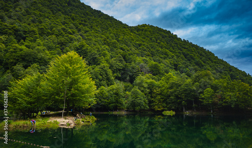 árboles en lago de montaña