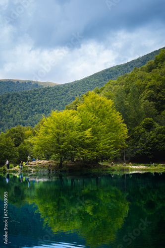Fototapeta Naklejka Na Ścianę i Meble -  árboles en lago de montaña