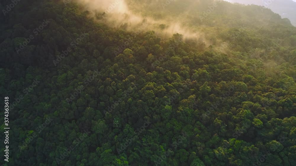 Thailand jungle sunset aerial view. Green tree tops on mountains hillsides wrapped in mist in golden sunset light. Charming nature landscape of Asian wildlife. Tropical footage shot at 4K, UHD Thailand jungle sunset aerial view. Green tree tops on mountains hillsides wrapped in mist in golden sunset light. Charming nature landscape of Asian wildlife. Tropical footage shot at 4K, UHD