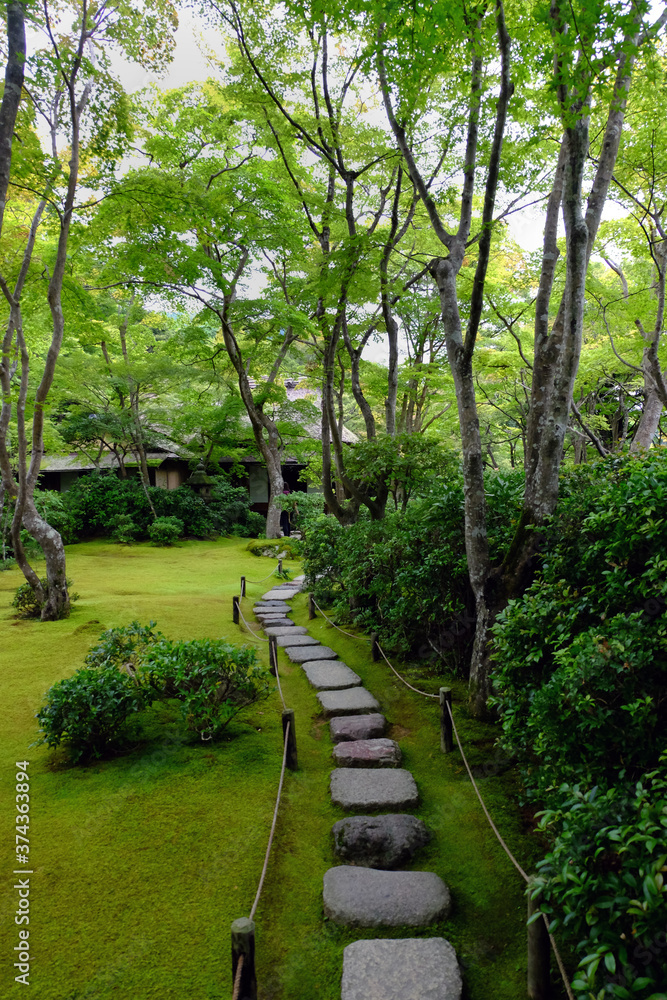Jardín japonés. Kyoto, Japón 