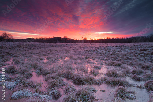 Morning hoarfrost on a field with a beautiful pink sunrise after a cold and freezing night in autumnal rural Estonia, Northern Europe. 