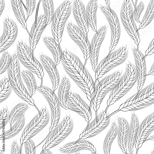 monochrome seamless background with wheat. black ears of wheat on a white background. background for wrapping paper and wallpaper