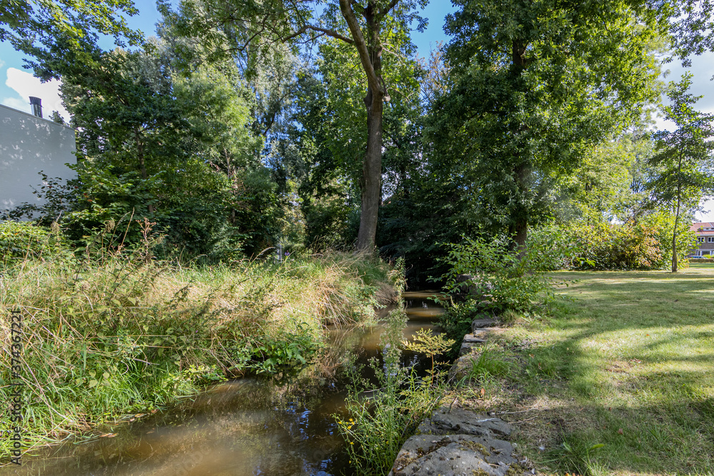 Obraz premium Keutelbeek stream next to city park with sunlight reflected in water among lush trees, wild plants and green vegetation, sunny summer day in Sittard, South Limburg, Netherlands