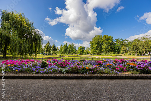 Explosion of color with pink, purple, yellow and white flowers on the explanda in front of the fishing pond surrounded by trees in the city park, sunny day in Sittard, South Limburg, Netherlands photo