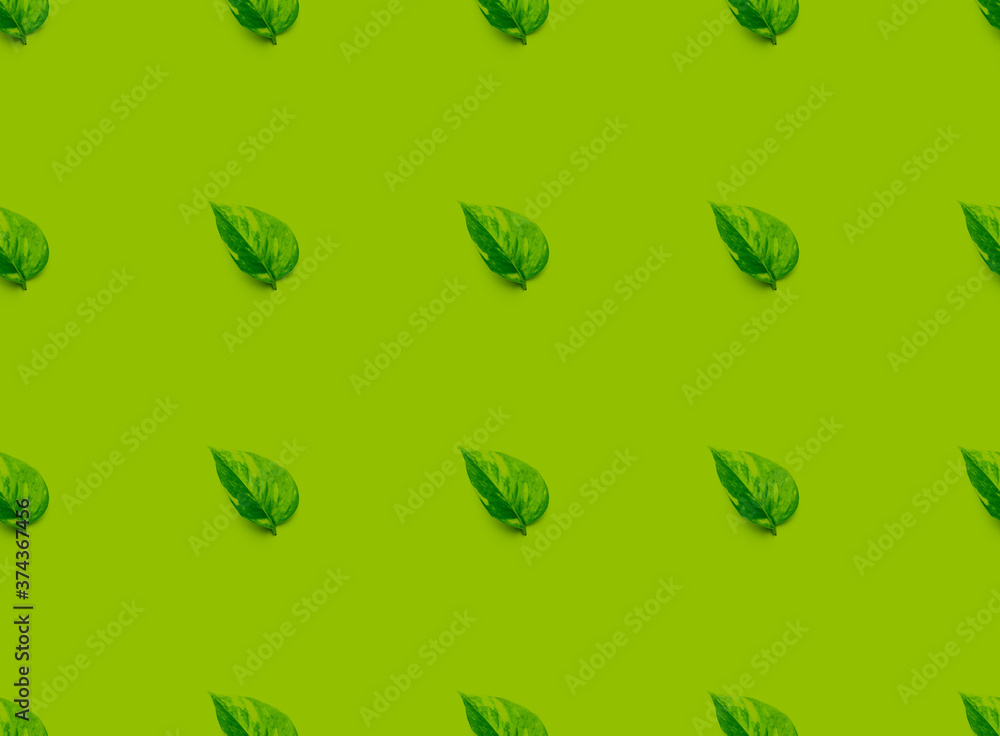 Seamless leaf pattern, nature background, pattern photography 