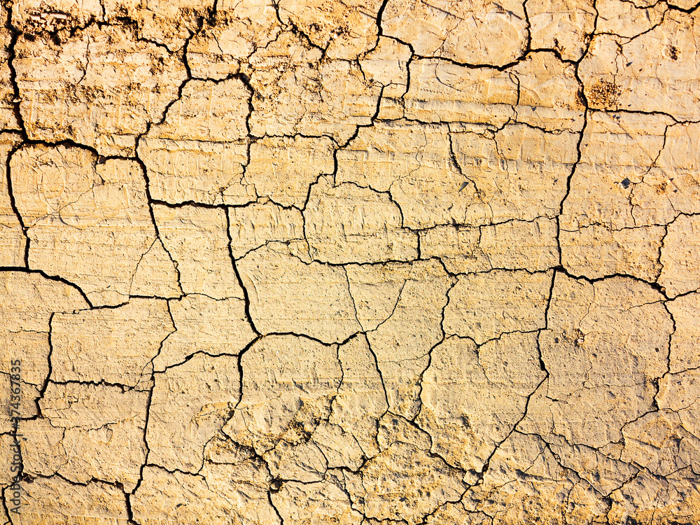 texture of dried cracked surface layer of the earth texture of dried cracked surface layer of the earth