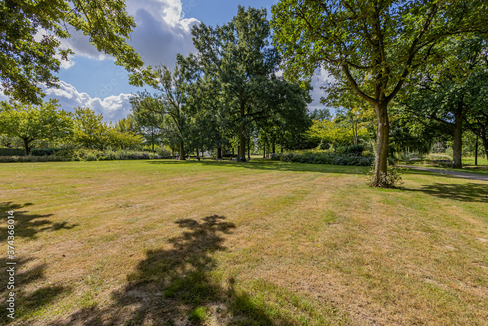 Field with yellow-green semi-dry grass in the city park with bush, green vegetation and lush trees next to a path, sunny summer day with a blue sky in Sittard, South Limburg, Netherlands