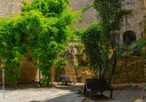 Benches in an old garden filled with greenery