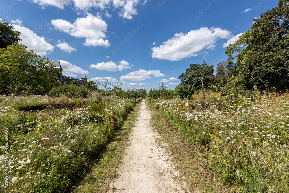 Fototapeta premium Dirt path among plants and wild flowers in the Ursuline garden (Ursulinentuin / Stadstuin) with lush green trees, depth perspective, sunny day with a blue sky in Sittard, South Limburg, Netherlands