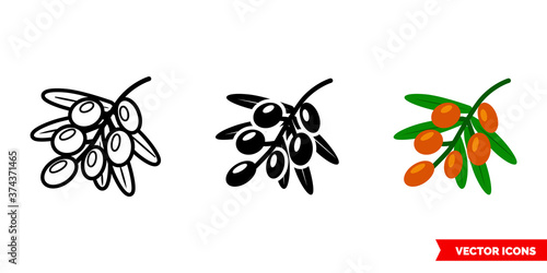 Sea buckthorn icon of 3 types color, black and white, outline. Isolated vector sign symbol.