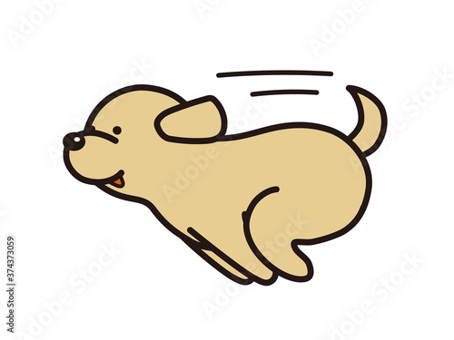 走る犬