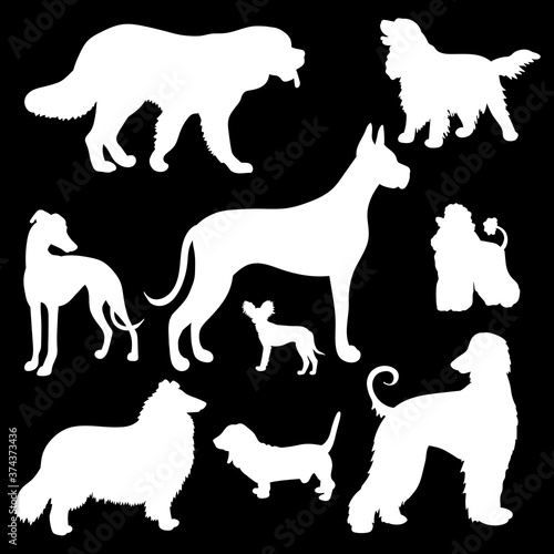 White silhouettes of dogs on a black background