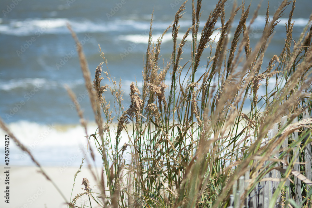 Delaware Bay Waves on Stormy Day through Beach Grass Delaware Bay Waves on Stormy Day through Beach Grass