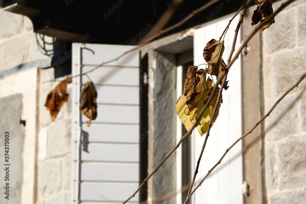 Dry autumn leaves and traditional Mediterranean architecture in Split, Croatia. Selective focus. Dry autumn leaves and traditional Mediterranean architecture in Split, Croatia. Selective focus.