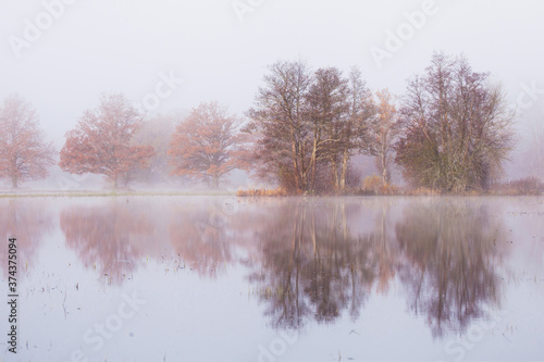 Soomaa National Park during an autumnal flood also known as the Fifth season in a foggy morning in Estonian nature, Northern Europe in October. 