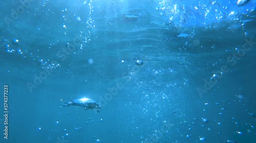 Parallel ascending with air bubbles in blue ocean water. Underwater view of air bubbles. Slow motion, close up