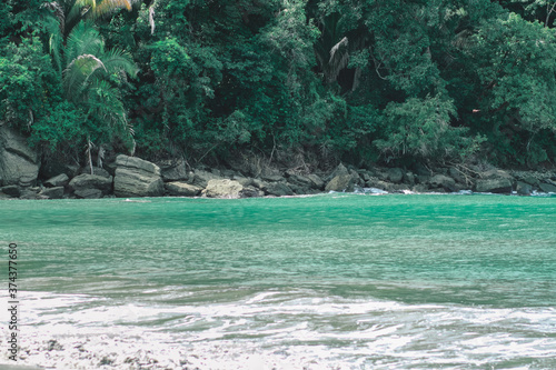 Manuel Antonio National Park  on Costa Rica   s central Pacific coast  rainforest  white-sand beaches and coral reefs. It   s  diversity of tropical plants and wildlife  white-faced capuchin monkeys 