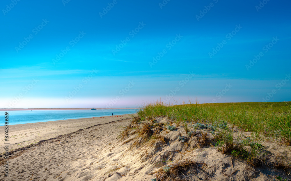 Tranquil Seascape with Clear Blue Sky over Eroded Beach with Grassy Meadow on Cape Cod Tranquil Seascape with Clear Blue Sky over Eroded Beach with Grassy Meadow on Cape Cod
