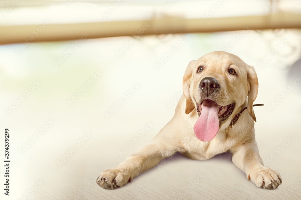 Adorable. Adorable.