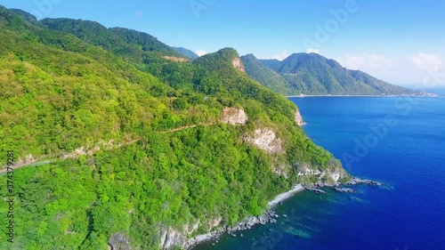 Cliff covered by the forest  photo