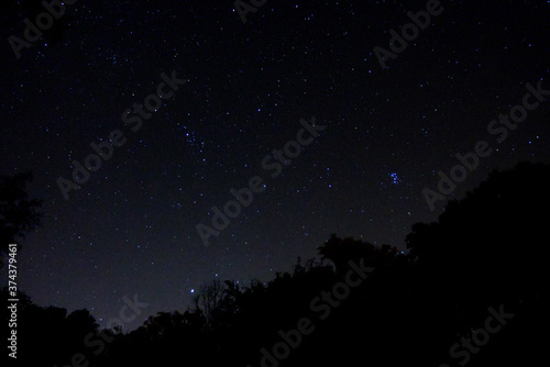 starry night sky