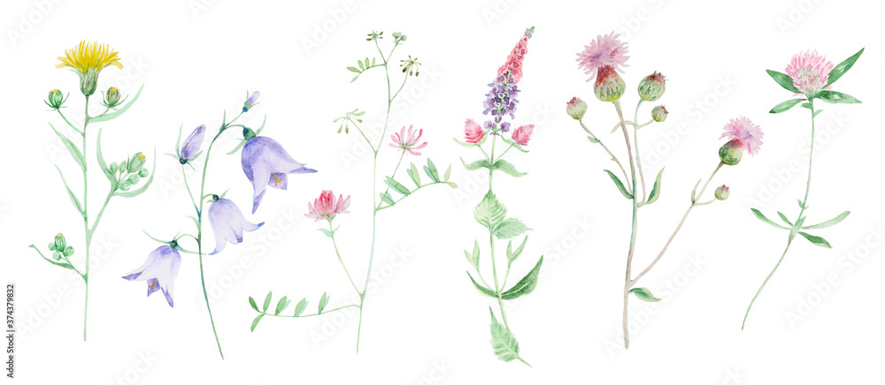 Wildflower watercolor set
