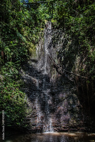 waterfall in the forest