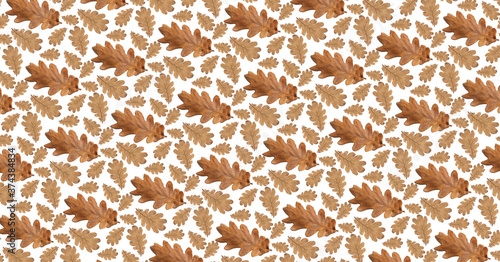 Pattern old dry yellow autumn oak leaves on a white background.