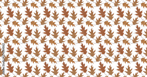 Pattern old dry yellow autumn oak leaves on a white background. © lms_lms