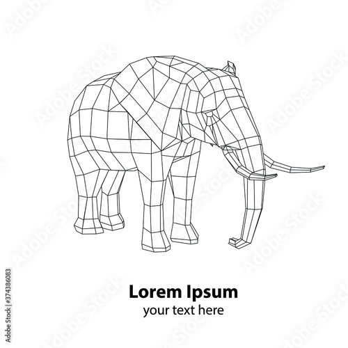 low poly elephant vector model on a white background