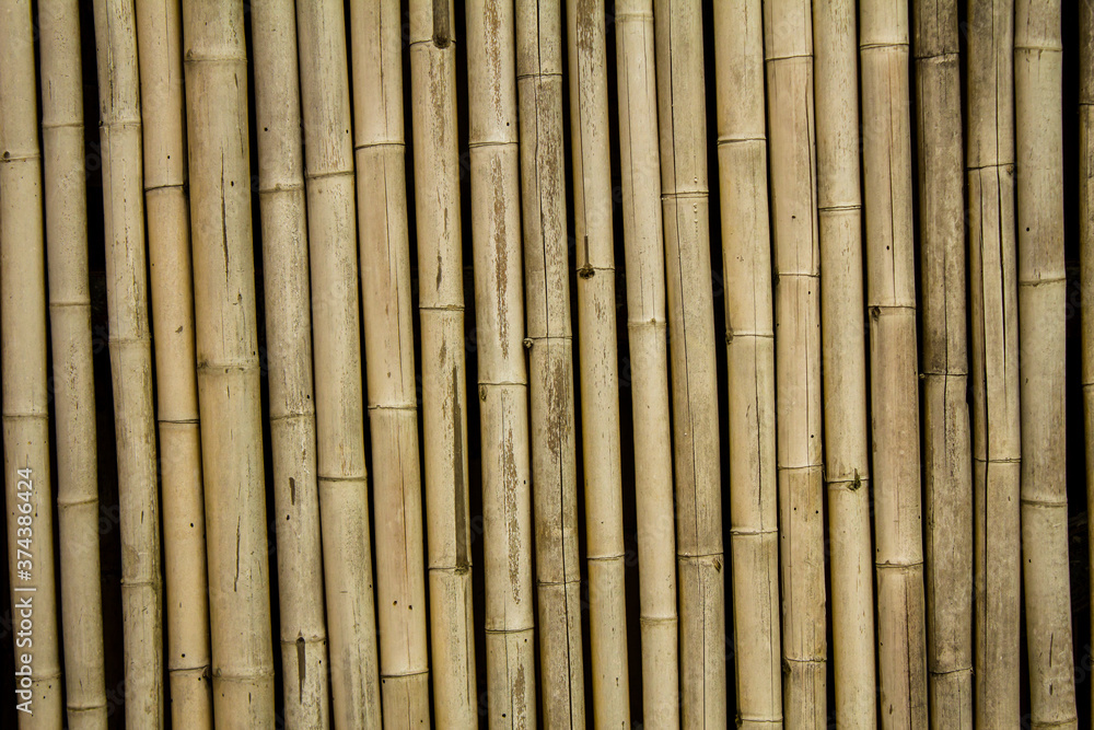 Brown bamboo fence or wall background or wooden texture Brown bamboo fence or wall background or wooden texture