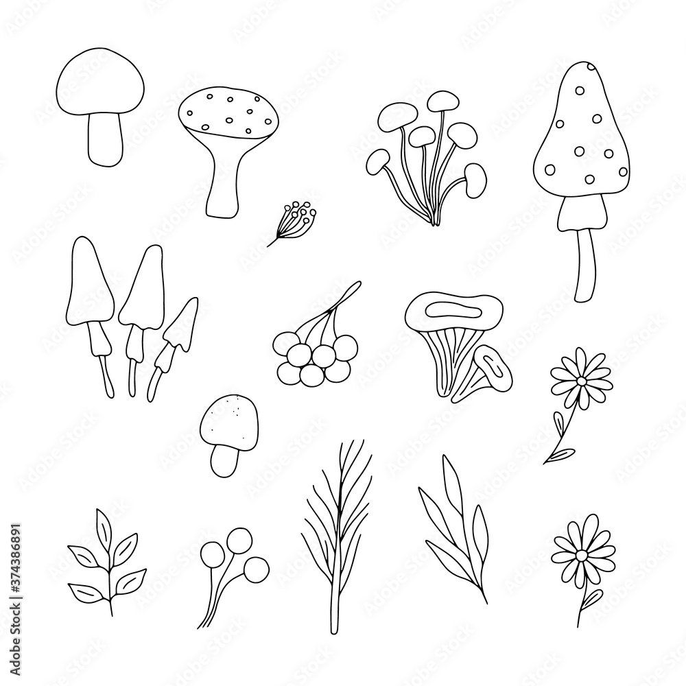 Vector outline illustration of witch dried herbs set for making magic, cooking a potion, simple doodle hand drawn image, black and white drawing for Halloween holiday celebrations Vector outline illustration of witch dried herbs set for making magic, cooking a potion, simple doodle hand drawn image, black and white drawing for Halloween holiday celebrations