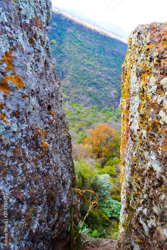 textura que ofrece la naturaleza