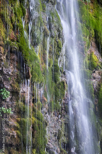 waterfall in the forest of Mount Timpanogos. Scout falls.