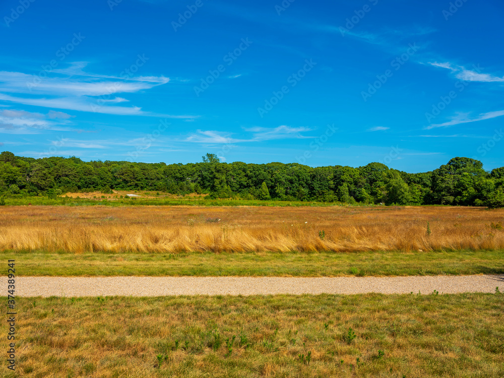 Abstract Horizontal Geometric Shapes of the Blue Sky and Wooded Pasture with a Crossing Footpath