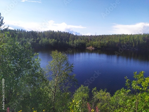 Green grass and forest around the blue lake