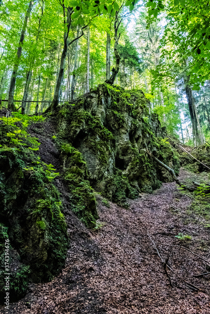 Fototapeta premium Snake valley, Kremnica hills, Slovakia, seasonal natural scene