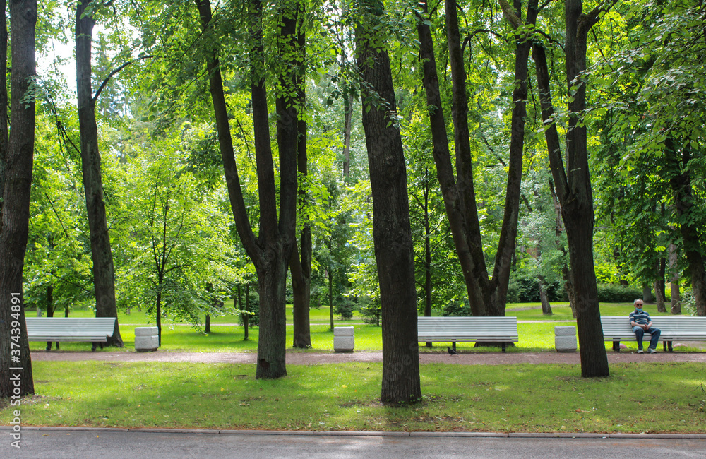 Obraz premium A lone man in a medical mask sits on a Park bench. Emptiness and loneliness during a pandemic on a summer day. The time of isolation.